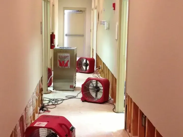 A hallway flood cut with red air movers drying the open wall cavities